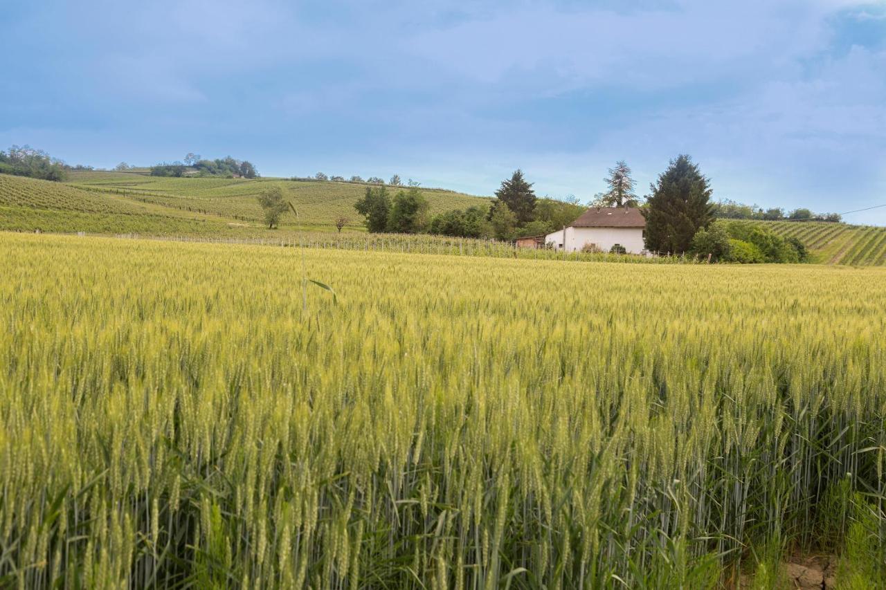 Willa White Tail Organic Farm Orsara Bormida Zewnętrze zdjęcie